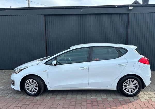 Kia Ceed cena 31999 przebieg: 205000, rok produkcji 2016 z Kielce małe 211